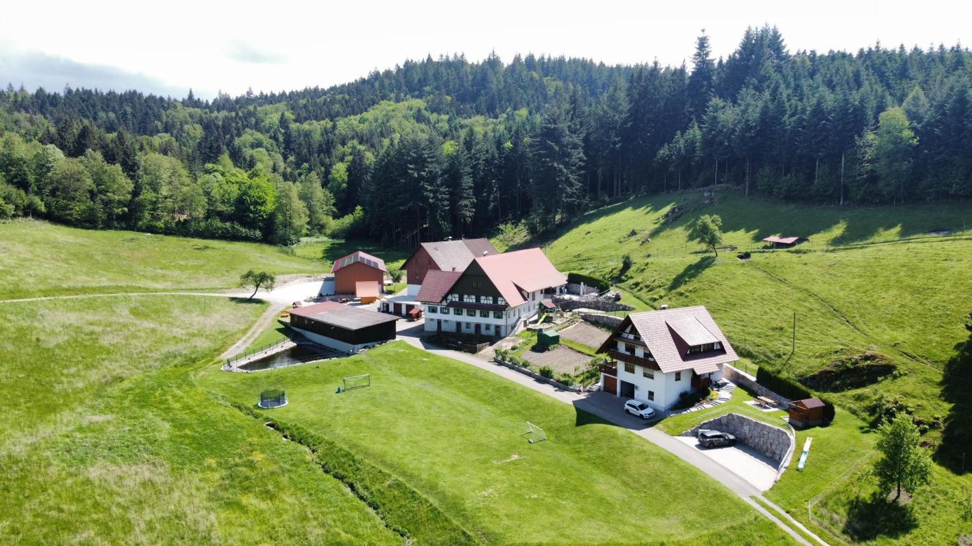 Ferienhof Benz Kappelrodeck Kültér fotó